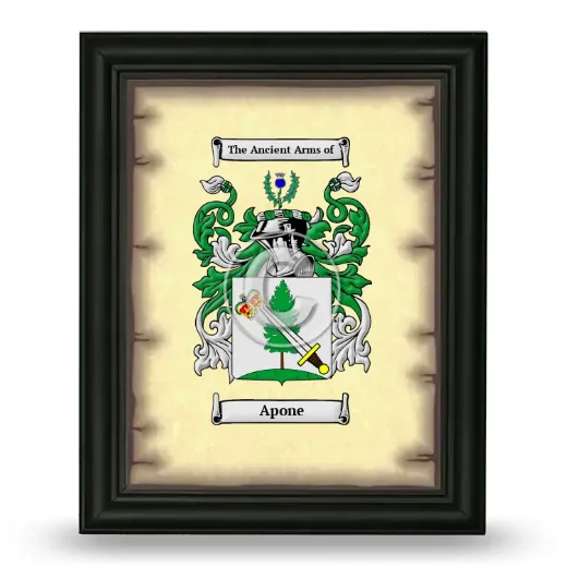 Apone Coat of Arms Framed - Black