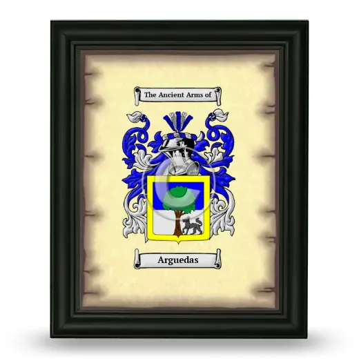 Arguedas Coat of Arms Framed - Black