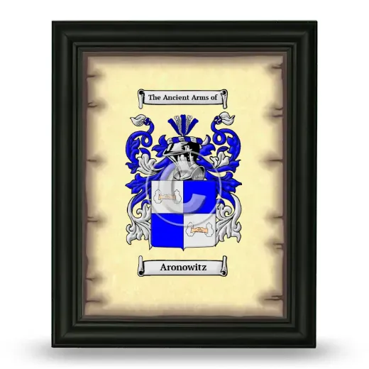Aronowitz Coat of Arms Framed - Black
