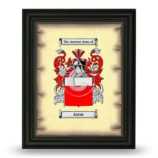 Astor Coat of Arms Framed - Black