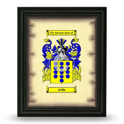 Avila Coat of Arms Framed - Black