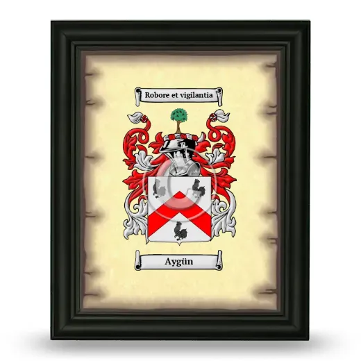 Aygün Coat of Arms Framed - Black