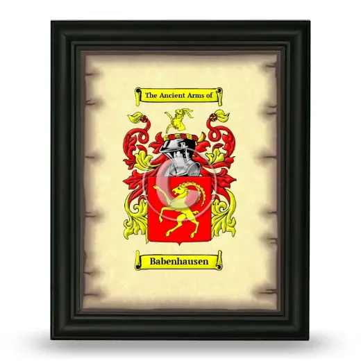 Babenhausen Coat of Arms Framed - Black