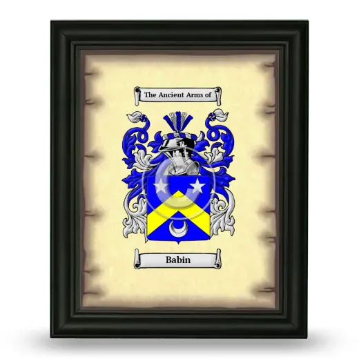 Babin Coat of Arms Framed - Black