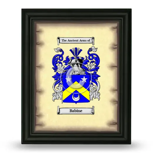 Babine Coat of Arms Framed - Black