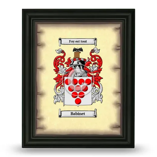 Babinet Coat of Arms Framed - Black