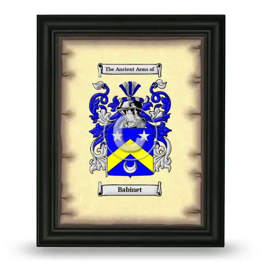 Babinet Coat of Arms Framed - Black