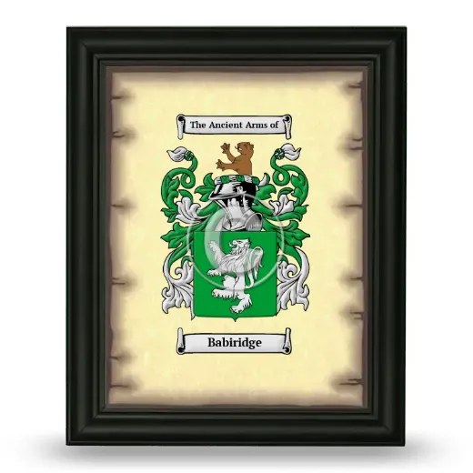 Babiridge Coat of Arms Framed - Black