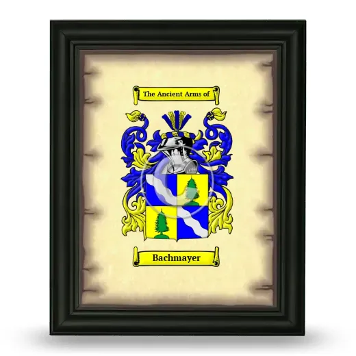 Bachmayer Coat of Arms Framed - Black
