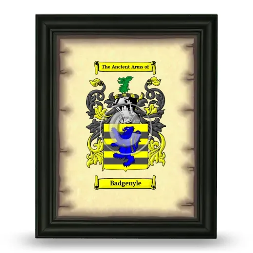 Badgenyle Coat of Arms Framed - Black
