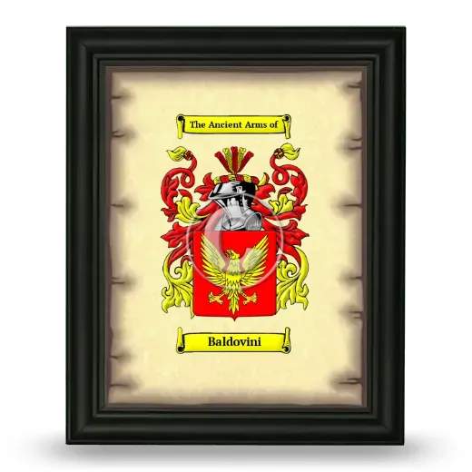 Baldovini Coat of Arms Framed - Black