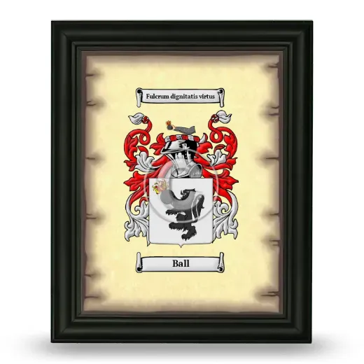 Ball Coat of Arms Framed - Black