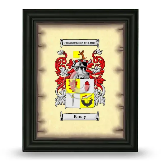 Banay Coat of Arms Framed - Black