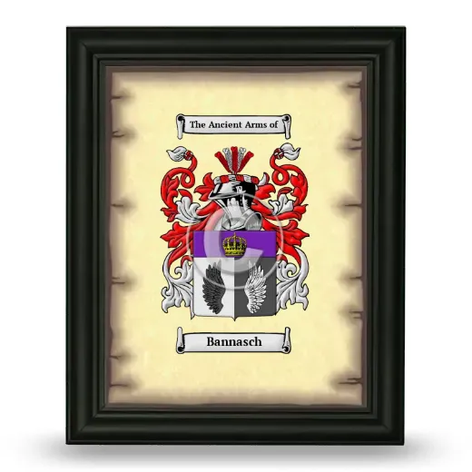 Bannasch Coat of Arms Framed - Black
