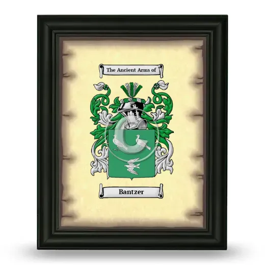 Bantzer Coat of Arms Framed - Black