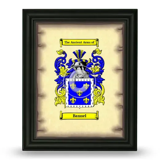 Banuel Coat of Arms Framed - Black