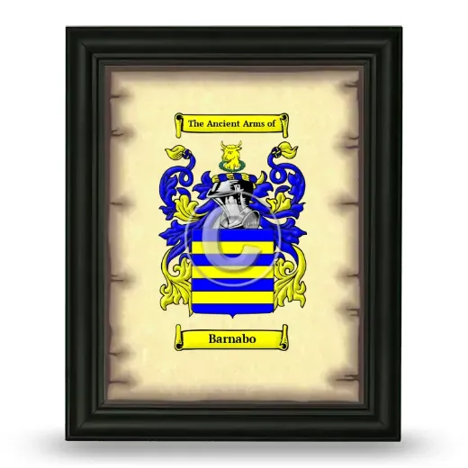 Barnabo Coat of Arms Framed - Black