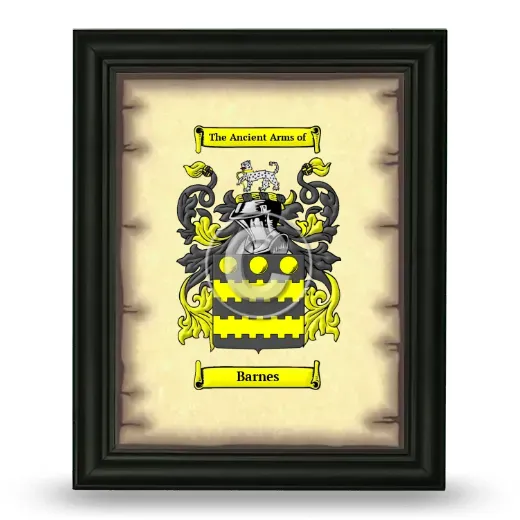 Barnes Coat of Arms Framed - Black
