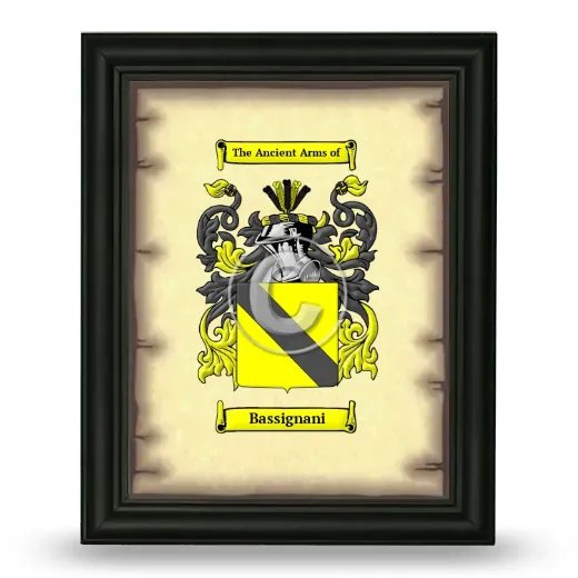 Bassignani Coat of Arms Framed - Black
