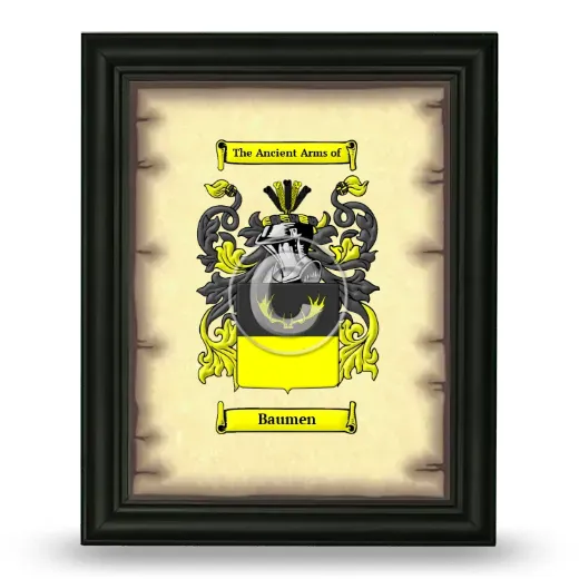 Baumen Coat of Arms Framed - Black