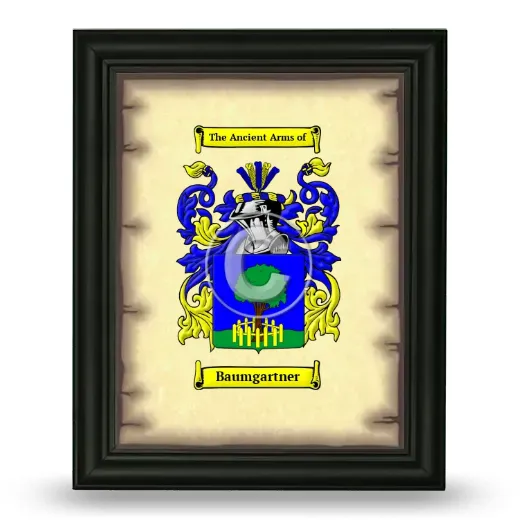 Baumgartner Coat of Arms Framed - Black