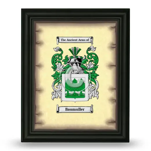 Baumuller Coat of Arms Framed - Black