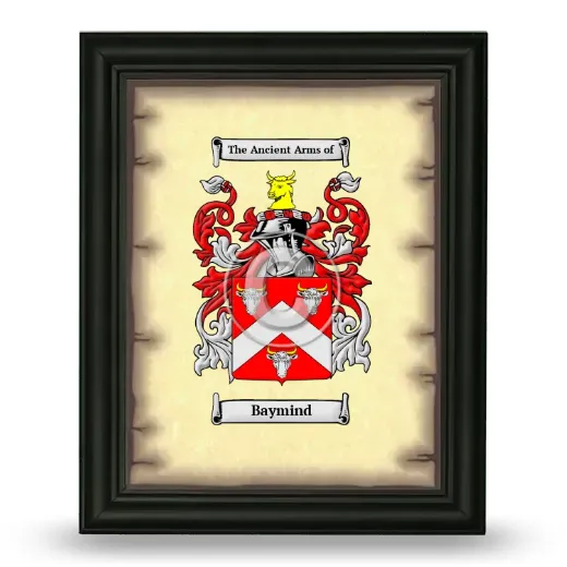 Baymind Coat of Arms Framed - Black