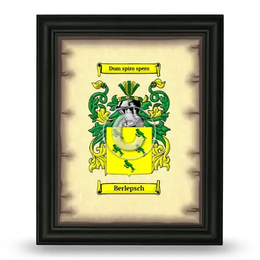 Berlepsch Coat of Arms Framed - Black