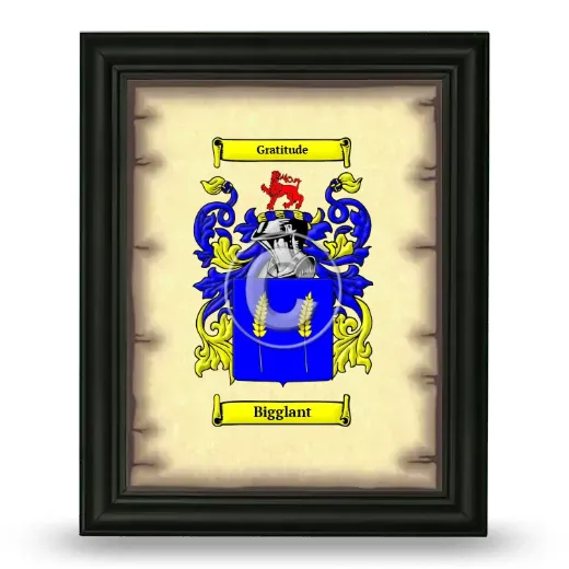 Bigglant Coat of Arms Framed - Black