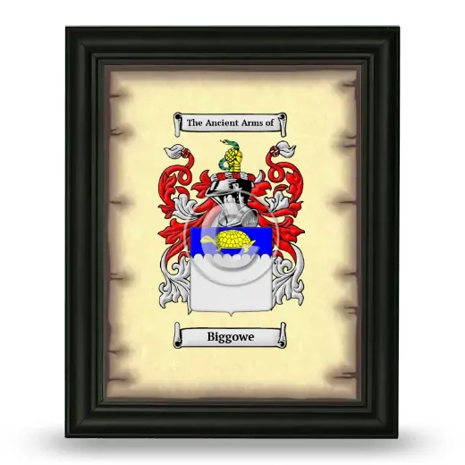 Biggowe Coat of Arms Framed - Black
