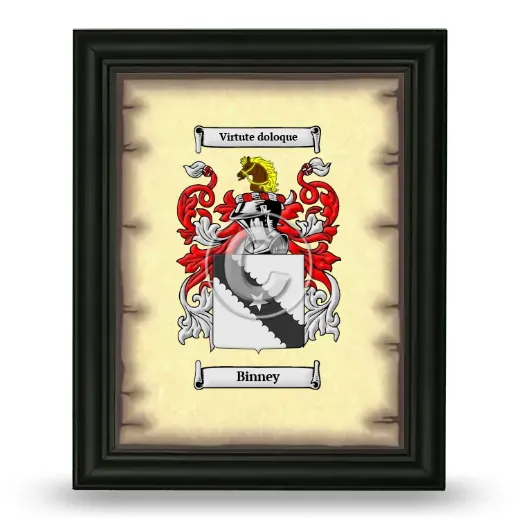 Binney Coat of Arms Framed - Black