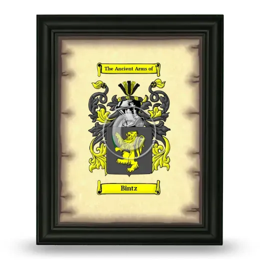 Bintz Coat of Arms Framed - Black