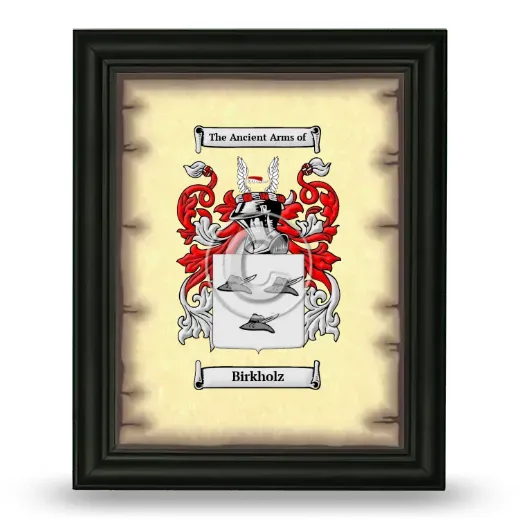 Birkholz Coat of Arms Framed - Black