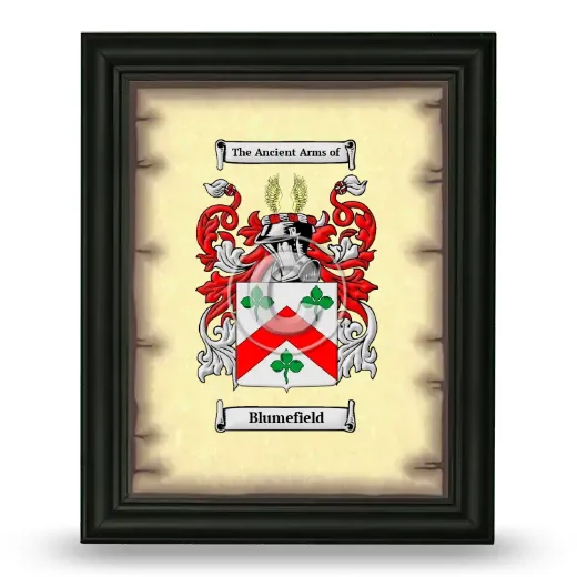 Blumefield Coat of Arms Framed - Black