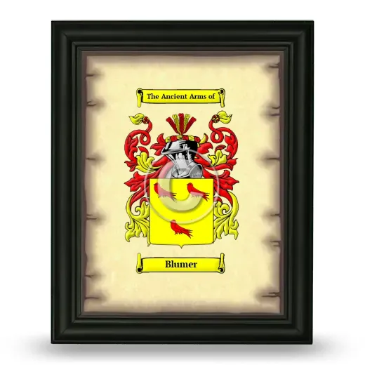Blumer Coat of Arms Framed - Black