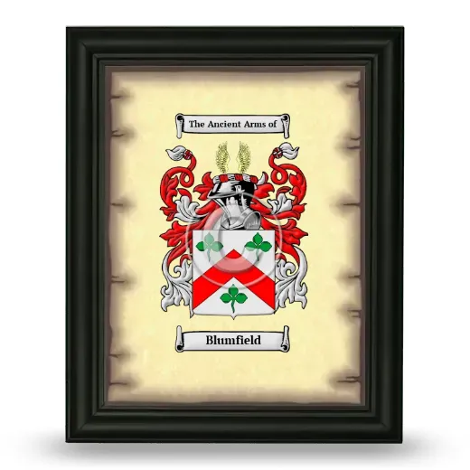 Blumfield Coat of Arms Framed - Black