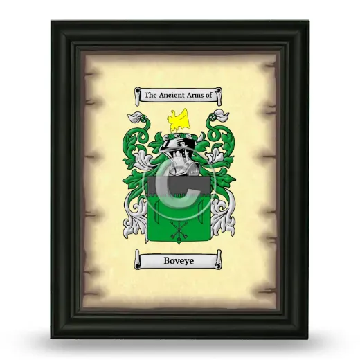 Boveye Coat of Arms Framed - Black
