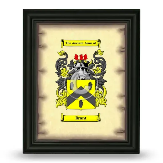 Brant Coat of Arms Framed - Black