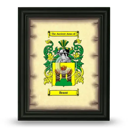 Brant Coat of Arms Framed - Black