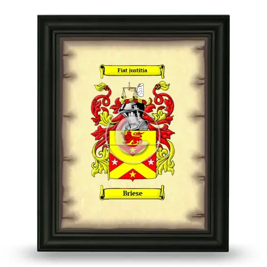 Briese Coat of Arms Framed - Black