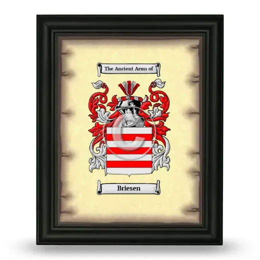 Briesen Coat of Arms Framed - Black