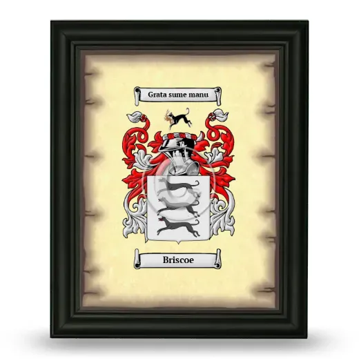 Briscoe Coat of Arms Framed - Black