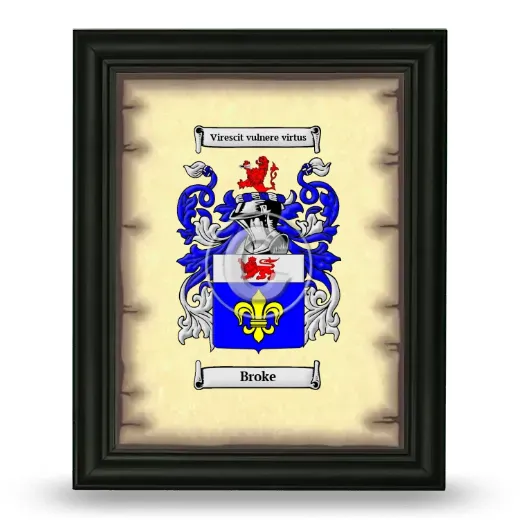 Broke Coat of Arms Framed - Black