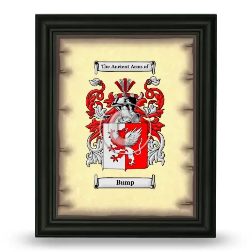 Bump Coat of Arms Framed - Black