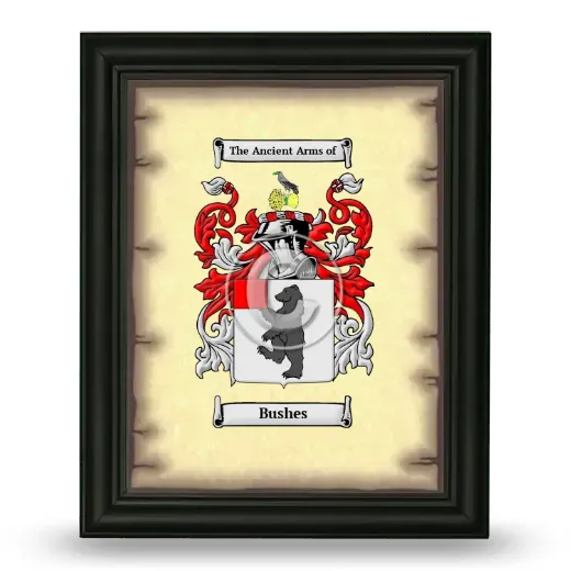 Bushes Coat of Arms Framed - Black