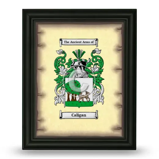 Caligan Coat of Arms Framed - Black