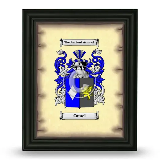 Camel Coat of Arms Framed - Black