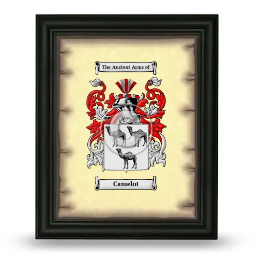 Camelot Coat of Arms Framed - Black