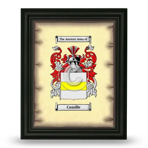 Camille Coat of Arms Framed - Black