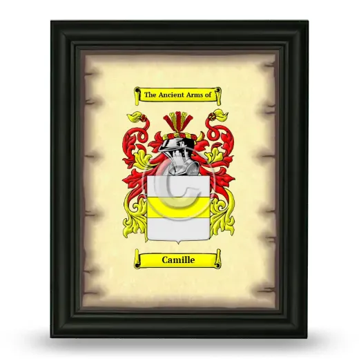 Camille Coat of Arms Framed - Black